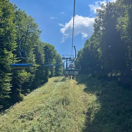 Rosaria Nyaraló Tollo